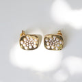 Cluster Studs